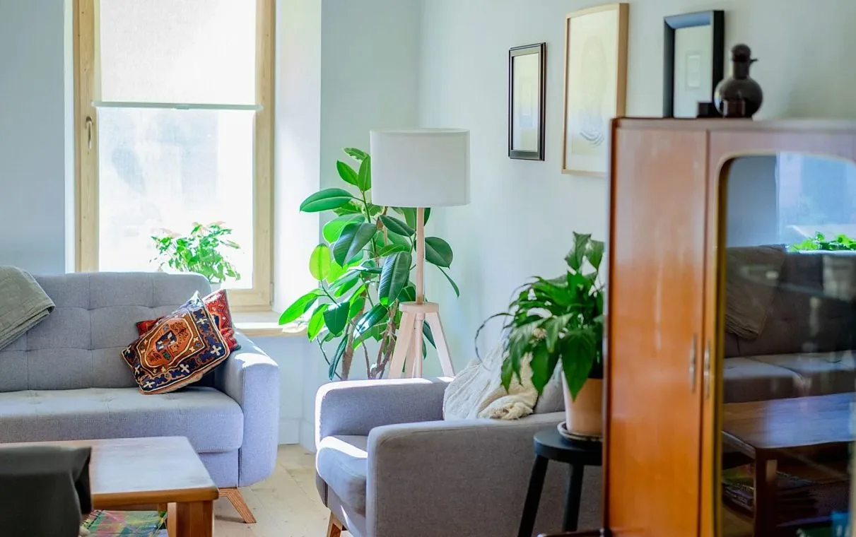 Living room with a blue sofa, wooden cabinet and houseplants
