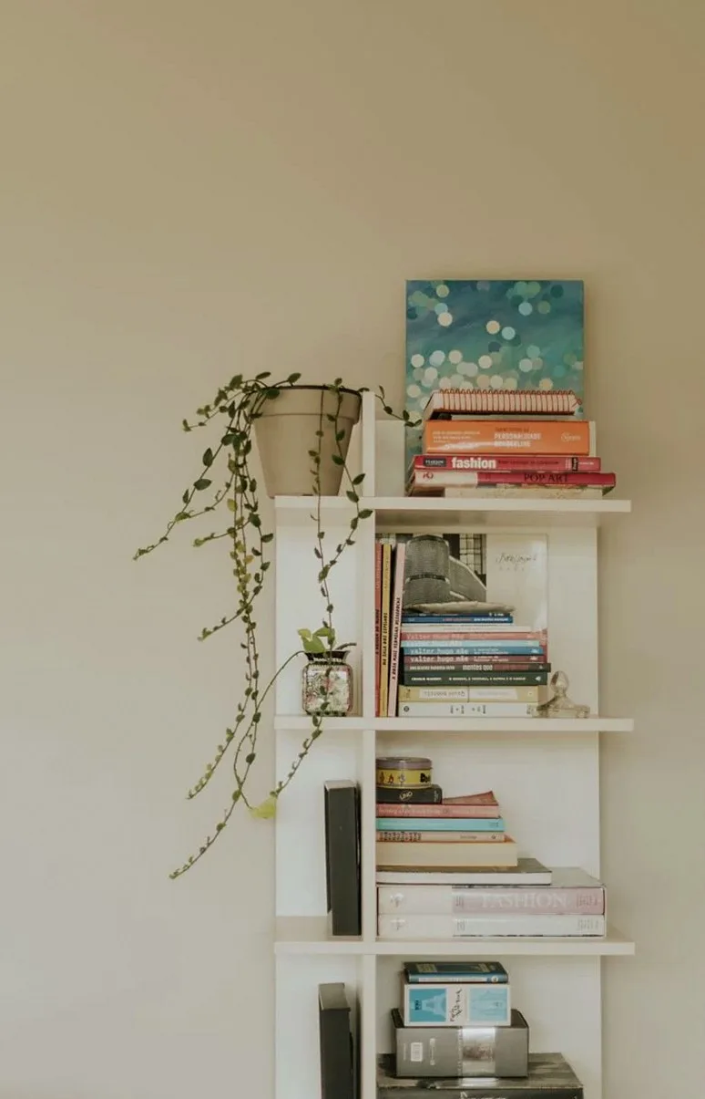 Shelving unit with books and a trailing plant against a cream wall